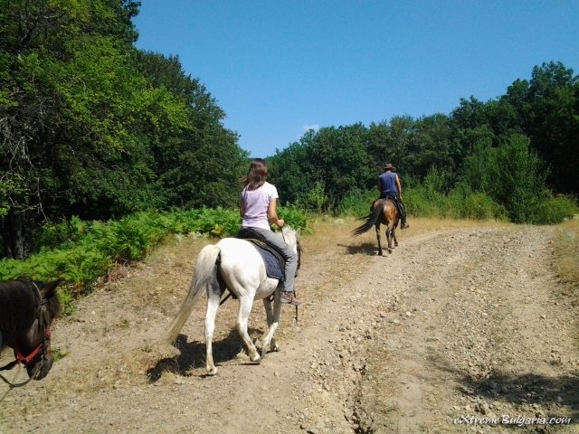 Horse riding